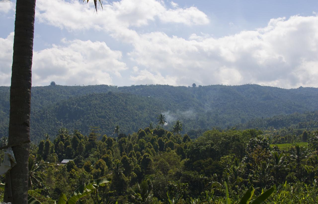 Lovina Full Day Tour Bali tour package